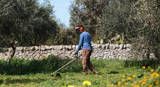 Yabani Ot Temizleme Rehberi: Bahçede Ot Temizleme Nasıl Yapılır? (En Etkili Yöntemler)